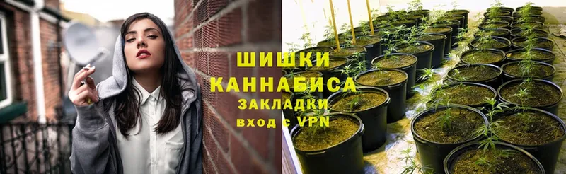 Каннабис план  продажа наркотиков  Полевской 